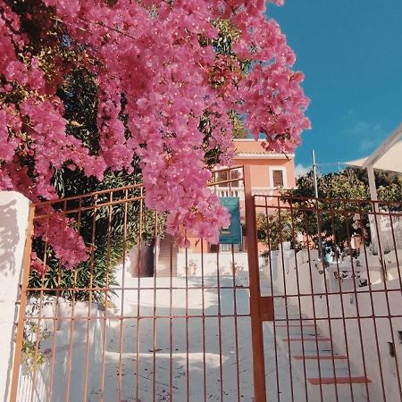 Villa La Casa Rosa Ponza Exterior foto